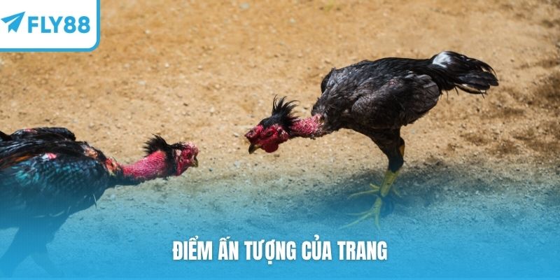 Điểm ấn tượng của trang