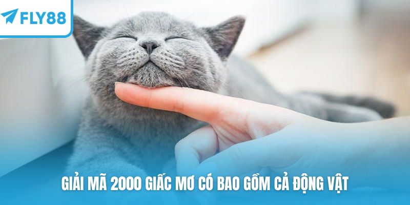 Giải mã 2000 giấc mơ có bao gồm cả động vật