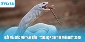 Giải mã giấc mơ thấy rắn