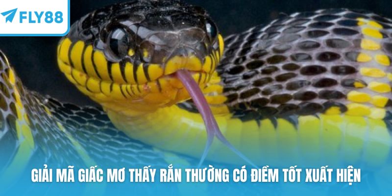 Giải mã giấc mơ thấy rắn thường có điềm tốt xuất hiện