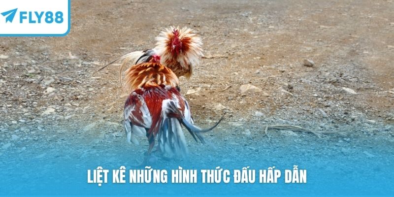 Liệt kê những hình thức đấu hấp dẫn
