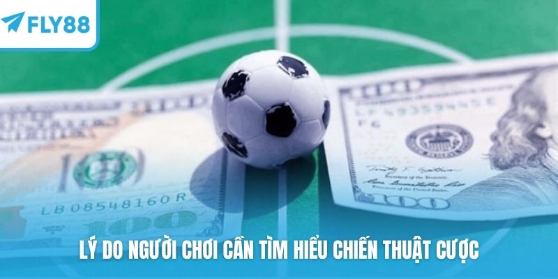 Lý do người chơi cần tìm hiểu chiến thuật cược