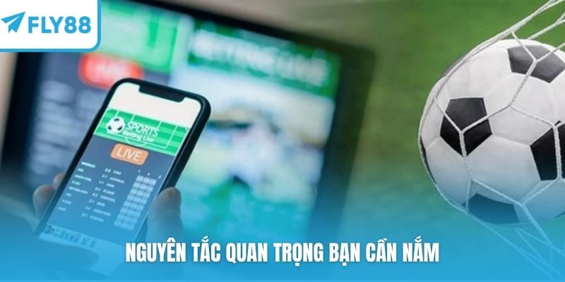 Nguyên tắc quan trọng bạn cần nắm