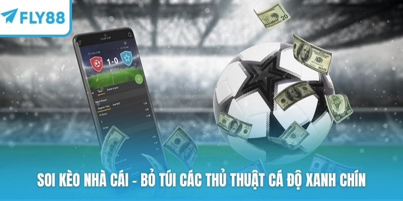 Soi kèo nhà cái