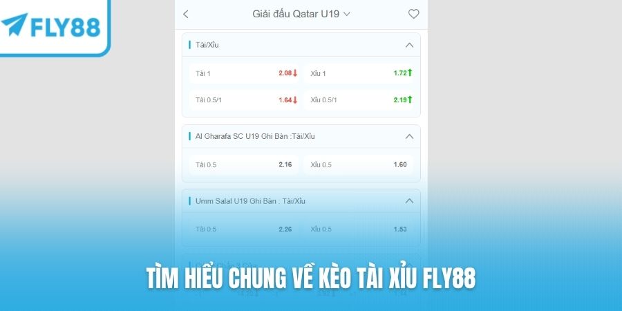 Tìm hiểu chung về kèo tài xỉu FLY88